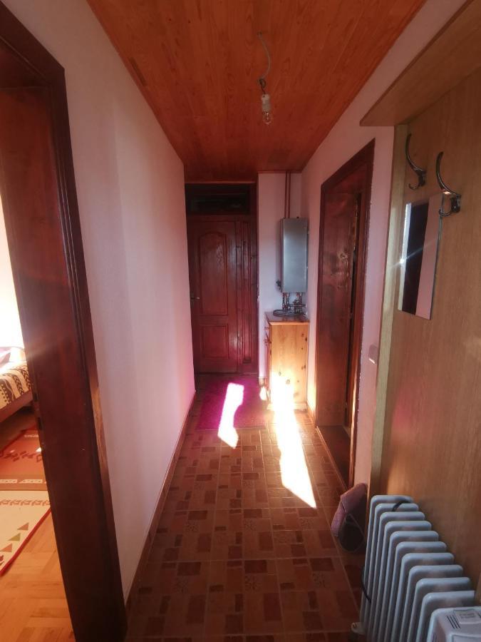 Apartment Zlatibor Vesna Экстерьер фото